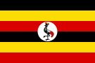 54flag
